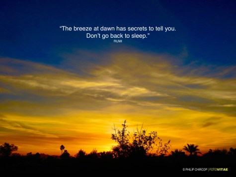 tumblr_o4ez3sowah1qfvq9bo1_1280