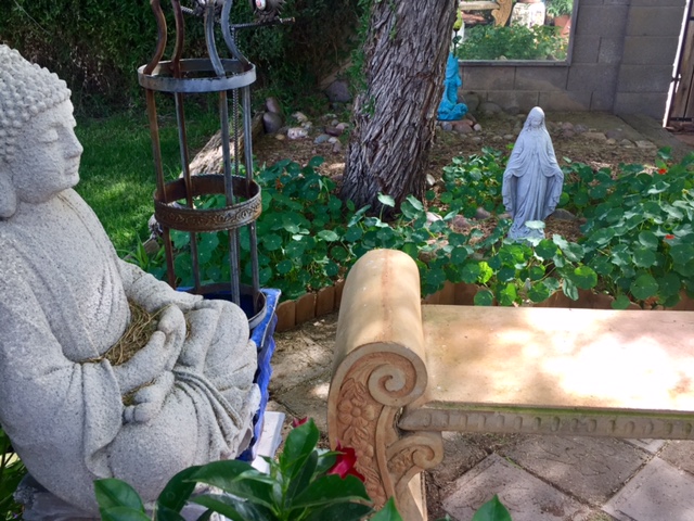 Buddha &amp; madonna