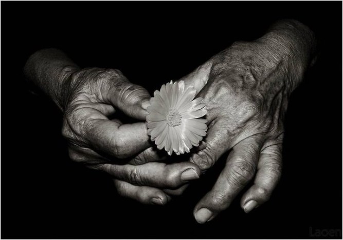old hands with flower
