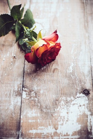 41379477 - fresh red rose on an old wooden board, vintage background
