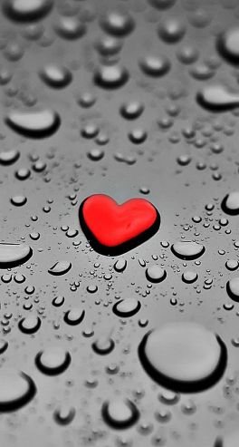 rain heart