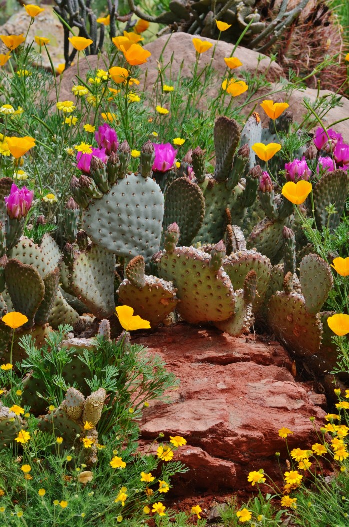 Depositphotos_24279687_l-2015