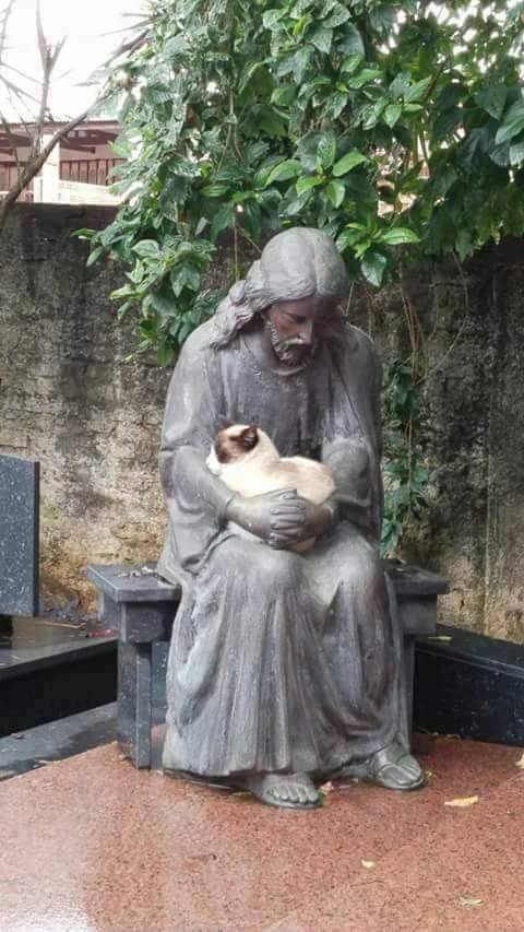 Kitty and Jesus