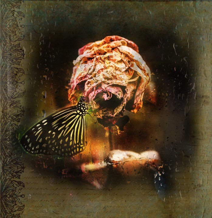 sadness-2799149_1280