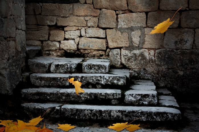 Old stone staircase with fallen leaves in the ominous moonlight