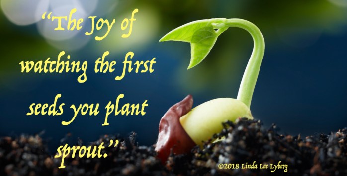 14464606763_5473161990_b