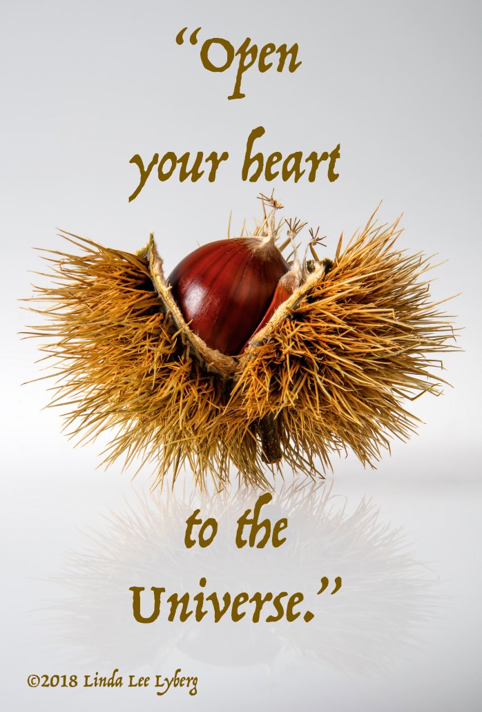 ricardo-gomez-angel-388592-unsplash