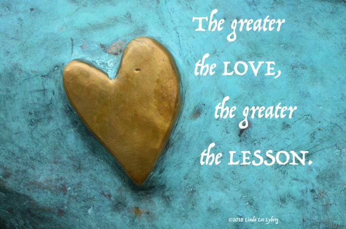 texture-leaf-underwater-love-heart-biology-1055550-pxhere.com