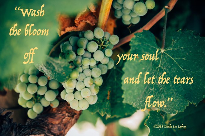 thomas-verbruggen-71575-unsplash