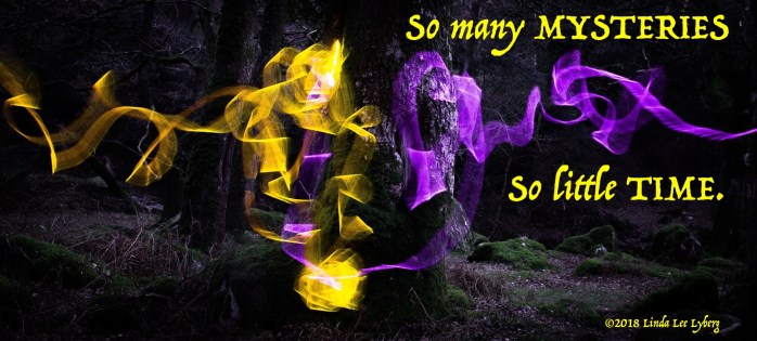 landscape-tree-nature-forest-light-night-643494-pxhere.com