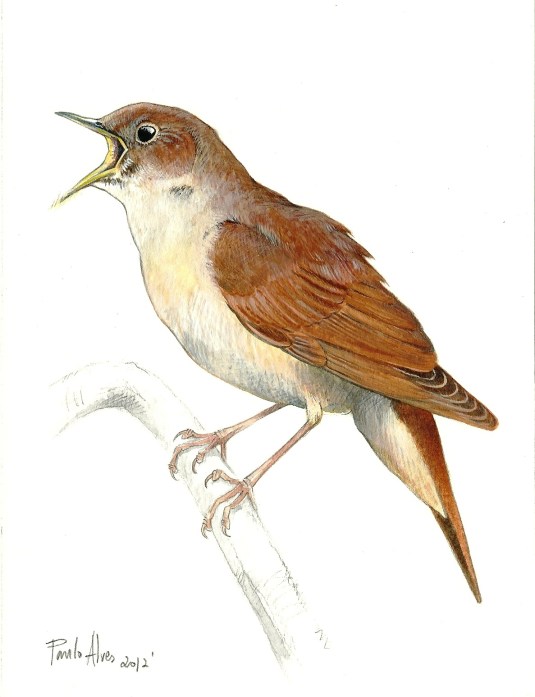 7180288859_230236ccb5_o