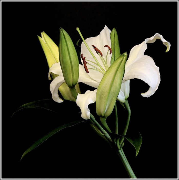 6930301713_9c8765b4a1_b