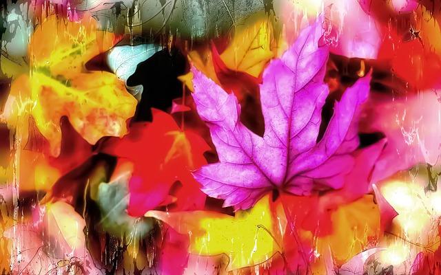 autumn-colors-2745906_640